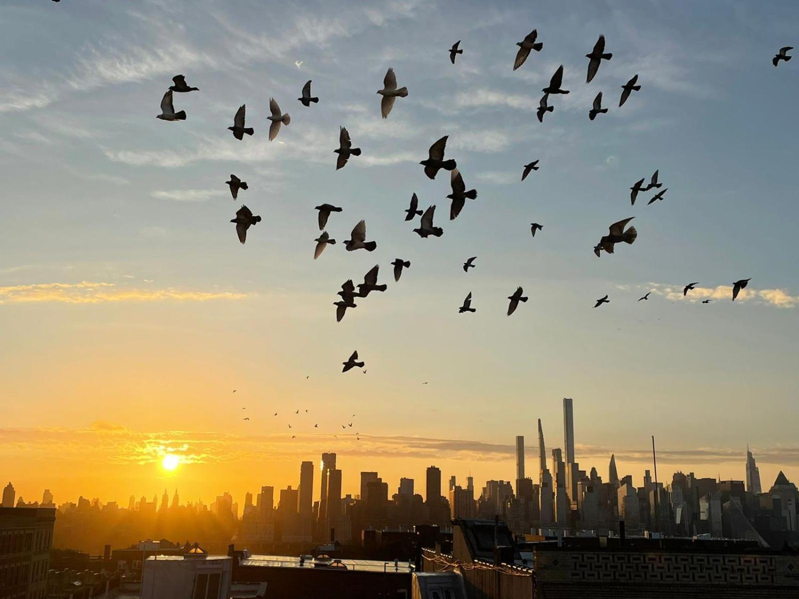 Ny Skyline One Of A Kind View Apartman Union City Kültér fotó